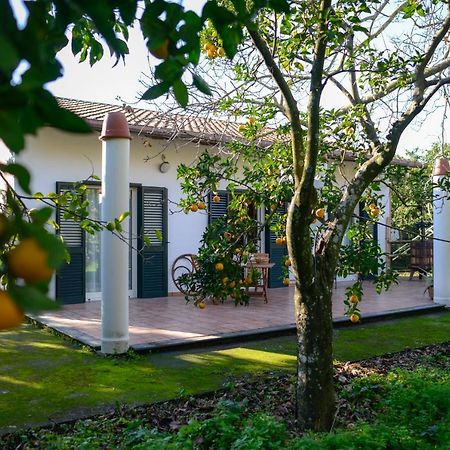 Ferienwohnung Agriturismo Piccolo Canyon Piano di Sorrento Exterior foto
