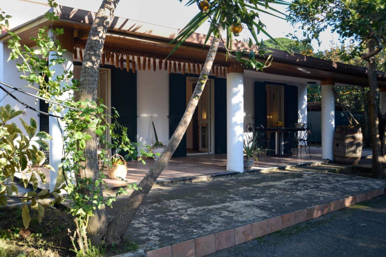 Ferienwohnung Agriturismo Piccolo Canyon Piano di Sorrento Exterior foto