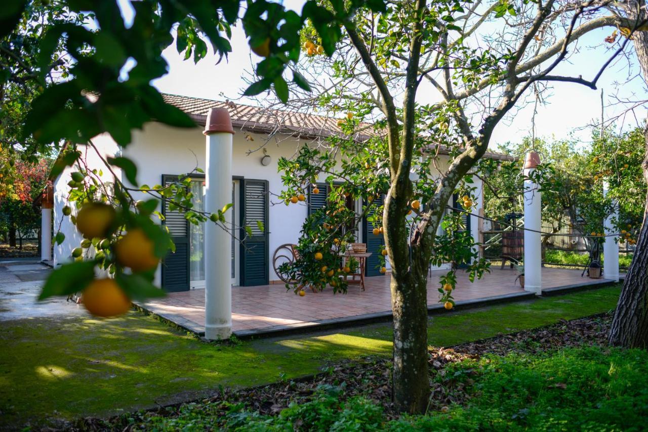 Ferienwohnung Agriturismo Piccolo Canyon Piano di Sorrento Exterior foto